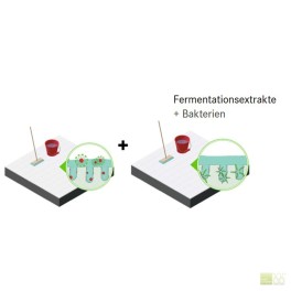 MK_BV_PB_INF_210325_FermentationsextrakteBakterien (Foto)