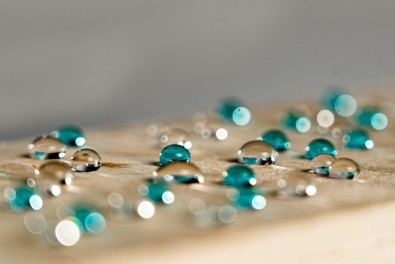 DSC01820_crop (web)