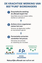 Enzymen werking