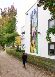 Overzicht kunstwerk  Unieke gevelcollage in Maastricht, duurzaam beschermd met NanoEnzo nano-coating.