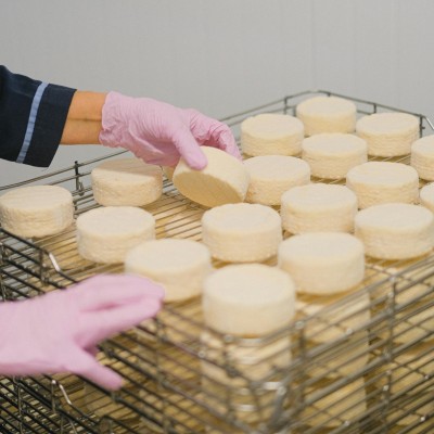 Kaasmakerij en voedsleveilig reinigen (Foto)