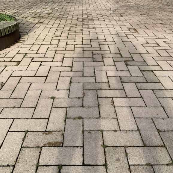 Straatstenen smerig door natuur invloeden (Slide 4 van 8)